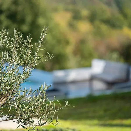 Nene Near Labin - Rabac For 10 Persons With 55 M2 Pool, Wellness Area & Large Garden Villa *